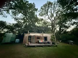 Nesta's Nook