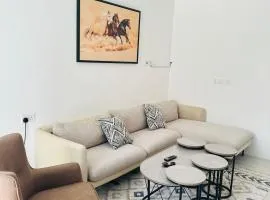 النورس
