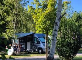 Camping Bela krajina - Pitches