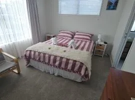 Large bedroom with en-suite in a new house Devonport
