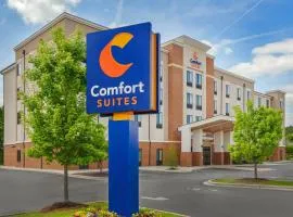 Comfort Suites Greensboro-High Point