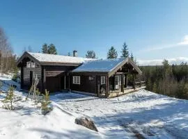 23 Solskiva