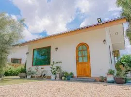 Three Neem Trees House