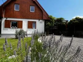 Lawendowe Wzgórze 21 dom z jacuzzi na wyłączność