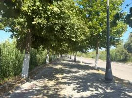 Beach vacation home for rent in Orikum, Albania