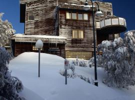 維多利亞滑雪俱樂部- 坎德哈山林小屋，布勒山的飯店