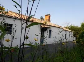 Chambre D'hôtes Le Viel Echalier