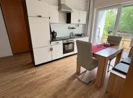 Modernes Apartment am Kellerwald bis zu 7 Gäste