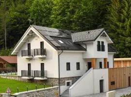 Apartmaji Vouk - sodobni apartmaji v objemu narave - Lukanja - Rogla - Primerno za pare in družine - Sprostitev in aktivno preživljanje prostega časa