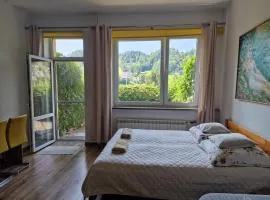 Zielona Przystań Apartament z widokiem na Pieniny