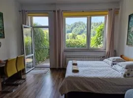 Zielona Przystań Apartament z widokiem na Pieniny