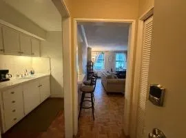 Downtown 1 Bedroom Apt 20L