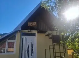 Konak Vuk