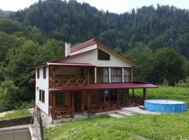 KarpatskeDzerelo