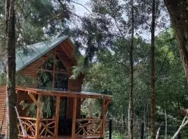 Cabaña el Bosque, Santa Elena