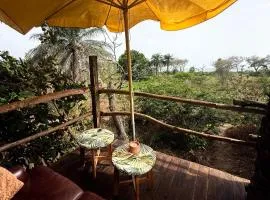 Mansa Musso Lodge