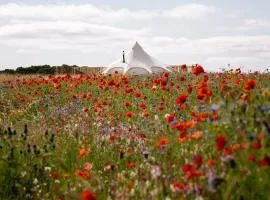 Bamburgh Under Canvas