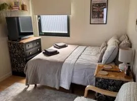 The Snug