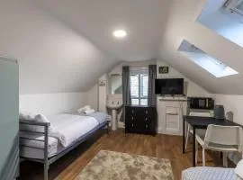 Downing Room -20 mins walk to centre, Private bathroom, kitchen available, Smart TV