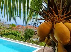 Villa Toc Toc à Bouillante, Guadeloupe
