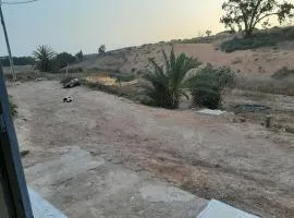 انوايزم