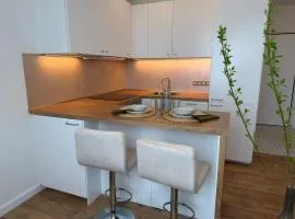 Luxurious apartment in the centre of Aš