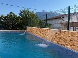 ZIS LUX Apartments Pool