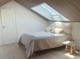 Stort lyst rom med adgang til kjøkken og bad
