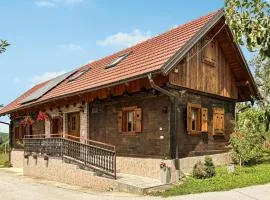 Gorgeous Home In Tugonica With Wifi
