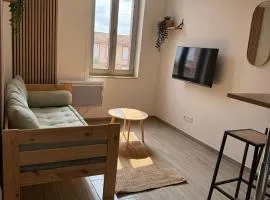 L'ALTIORE 1 chambre, parking gratuit