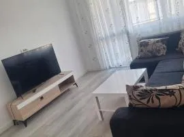Spacious 2-Bedroom Apartment near Dragonul Roșu