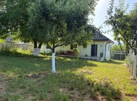 Peaceful Studio Retreat in Lozova - Your Private Garden Escape authentic Moldovan village experience