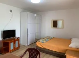 Vila Nikolic