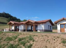 Apartamentos Turísticos El Collau