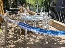 הקן לציפורים נודדות