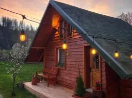 EscapeTinyCabin by IezerVenture