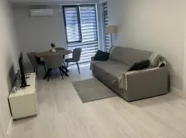 Modern Apartment Constanța