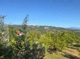 Perlat Orchard Camping