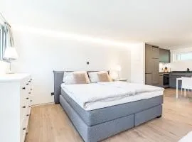 Renoviertes Studio oberhalb Visp mit Balkon und Bergblick