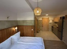 Historia Apartments Bielefeld I Terrasse & Wi-Fi