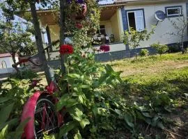 Gabala Romi Pool House