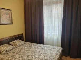 Apartment in the city center