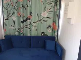 Hébergement dans un conteneur Maritime