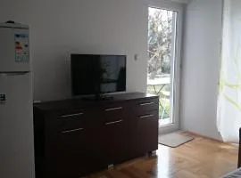 Apartments Despot Zaostrog RO