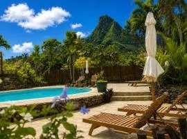 Eco Lodge Village Temanoha