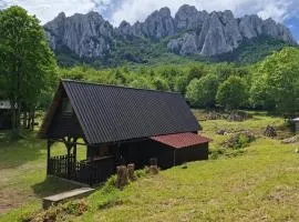 Mountain Retreat Stars Peak