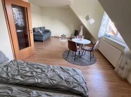 Nice room and bathroom in a detached house