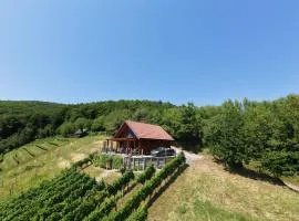 Hiška oddiha - Rest house