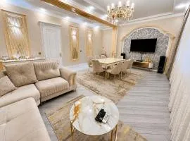 Premium Apartment near the airport