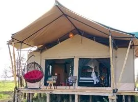 Taste Of Serengeti Luxury Safari Camp